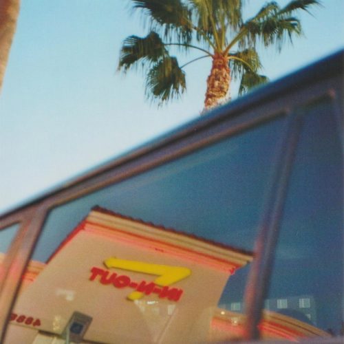 Autonfenster mit Palme